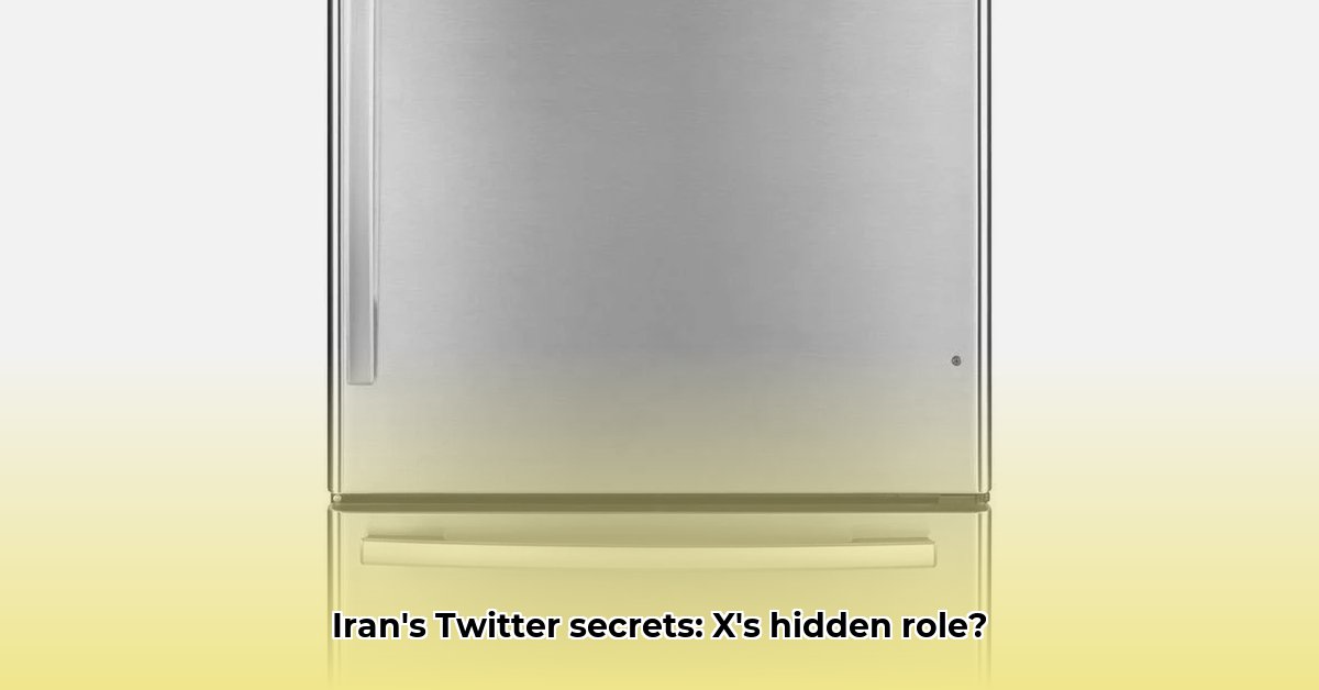 twitter-iran-military